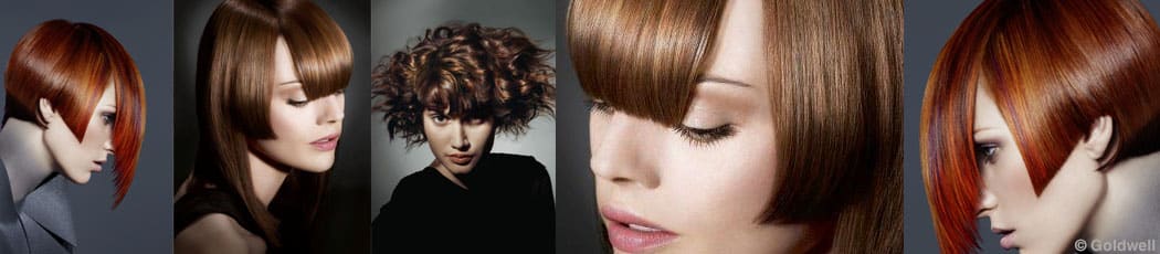 Vijf kleurbeelden van Goldwell, van koper en kastanje tot een glanzende steile coupe met pony.